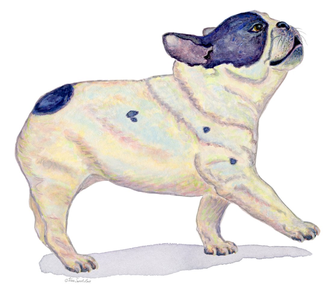  French Bulldog Artprint  RedBubble  
